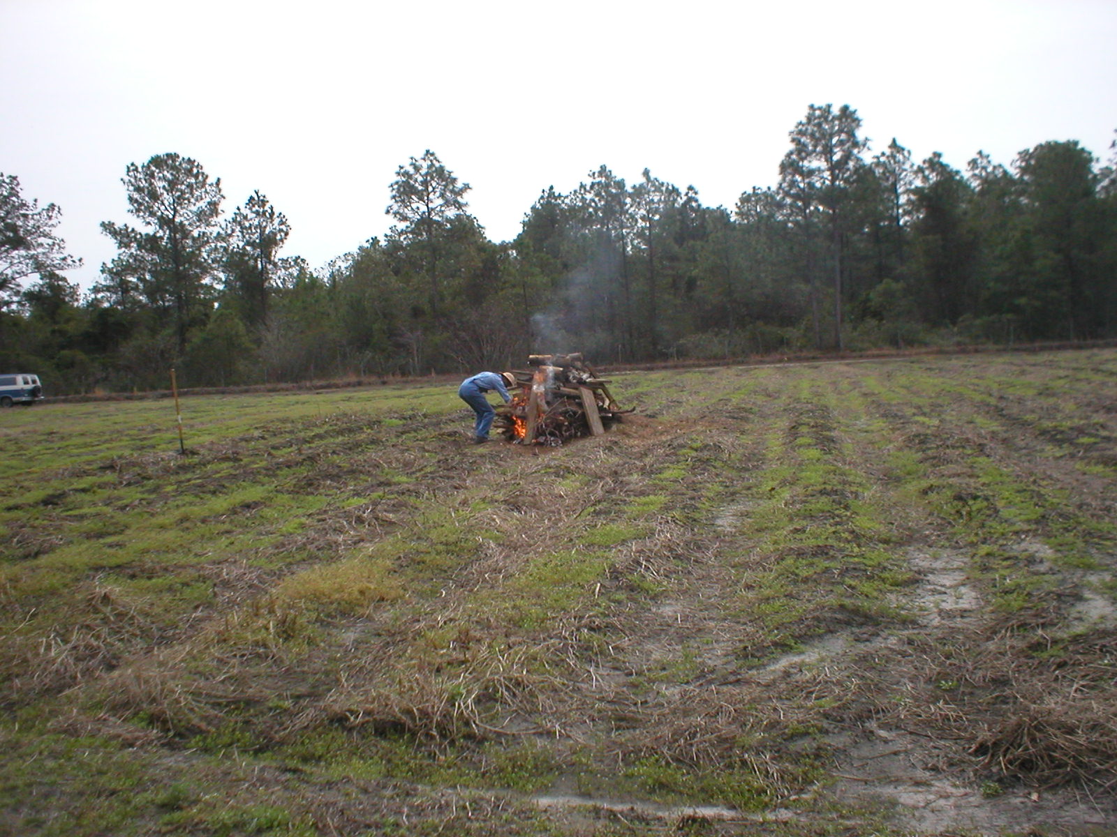 making lime 2